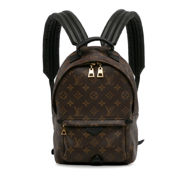 Brown Louis Vuitton Monogram Palm Springs PM Backpack - Designer Revival