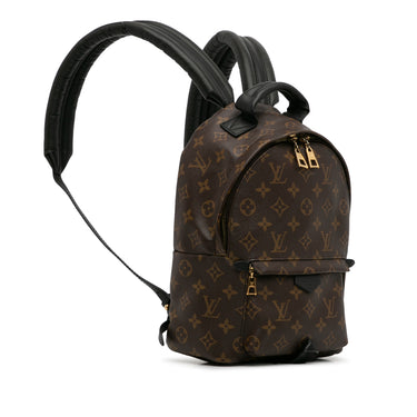 Brown Louis Vuitton Monogram Palm Springs PM Backpack