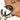 Brown Gucci Medium Grained Calfskin Charlotte Hobo - Designer Revival