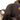 Brown Gucci GG Canvas Belt Bag - Designer Revival