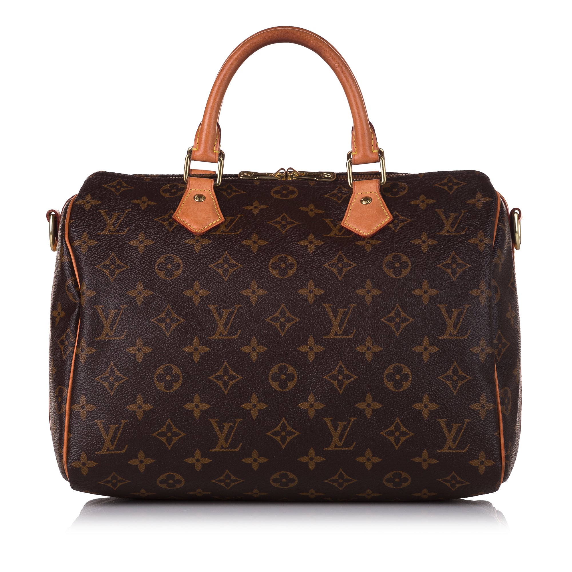 Louis Vuitton Speedy 30 Monogram Handbag