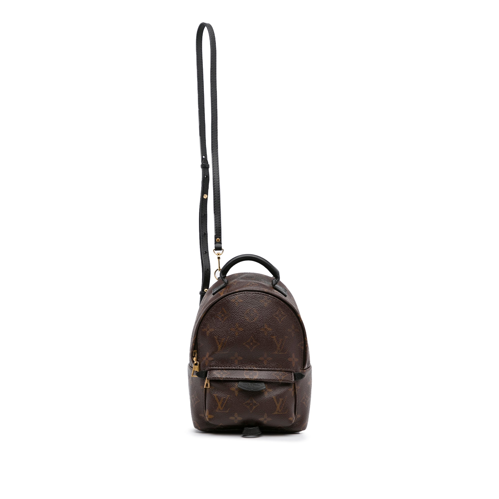 Palm Springs Mini  Louis vuitton backpack mini, Vuitton outfit, Mini  backpack outfit