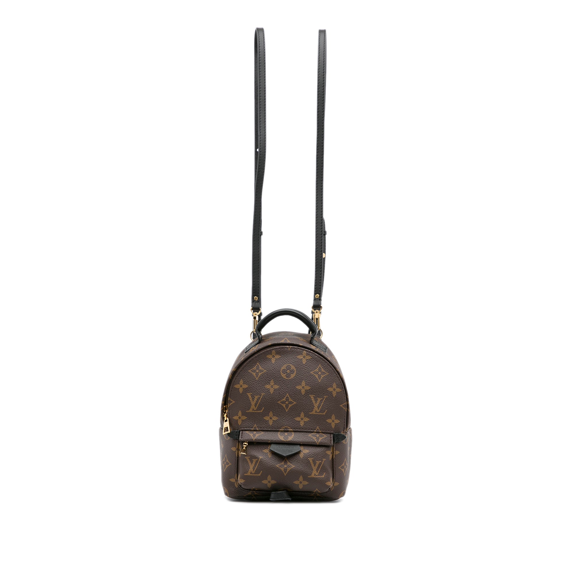 Brown Louis Vuitton Monogram Mini Palm Springs Backpack