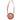 Brown Lanvin Round Camera Crossbody Bag