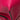 Pink LOEWE Anagram Leather Shopper Tote - Designer Revival