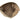 Beige Fendi Zucchino Canvas Hobo Shoulder Bag