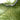 Green Bottega Veneta Mini Rubber Padded Intreccio Jodie Hobo Bag - Designer Revival