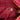 Pink Prada Vitello Daino Wristlet Clutch - Designer Revival