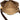 Brown Louis Vuitton Monogram Reporter GM Crossbody Bag