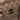 Brown Chanel Distressed Lambskin Lady Braid Bowler Bag - Designer Revival