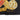 Black Hermès Art des Steppes Silk Handkerchief