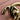Pink Chanel CC Quilted Caviar Business Affinity Satchel - Designer Revival