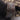 Brown Fendi Zucchino Canvas Crossbody - Designer Revival