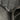 Black Chanel Jumbo Lambskin Double Sided Flap Shoulder Bag - Designer Revival