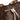 Brown Louis Vuitton Monogram Neonoe MM Bucket Bag - Designer Revival