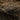 Brown Fendi Zucca Canvas Double Flap Shoulder Bag - Designer Revival