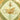 Green Hermès Springs Silk Scarf 90 Scarves