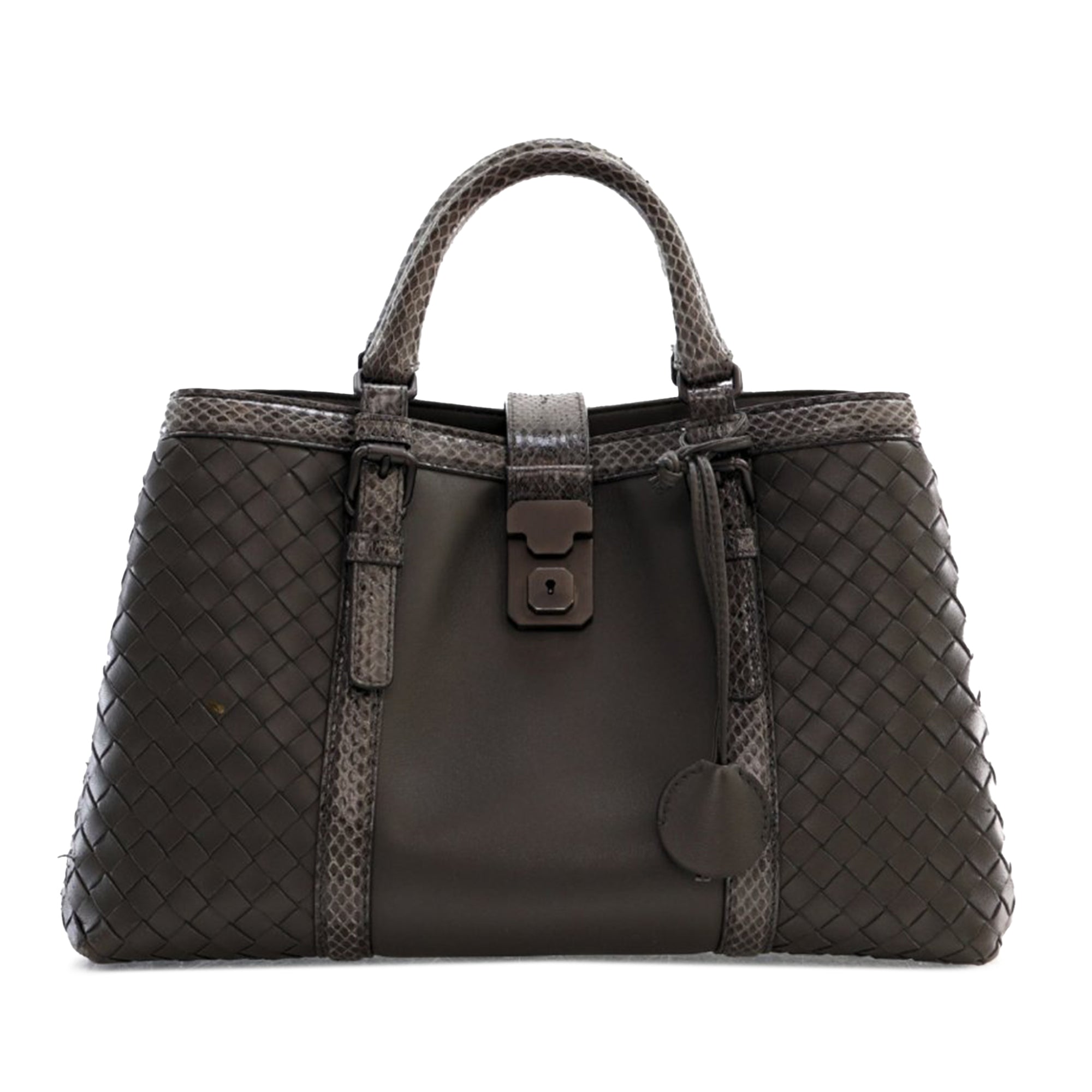 Gray Bottega Veneta Small Snakeskin Trimmed Calfskin