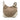 Brown Gucci GG Canvas Charlotte Crossbody
