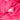 Pink Chanel Small Goatskin Quilted Reissue Cosmetic Pouch - Designer Revival