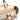 Brown Gucci GG Canvas Abbey D Ring Tote - Designer Revival