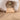 Beige Gucci GG Canvas New Britt Tote - Designer Revival