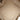 Beige Gucci GG Canvas and Metallic Calfskin Bree Tote