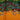 Green Hermès Le Paradis du Roy Silk Scarf 90 Scarves