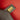 Red Chanel Medium Lambskin Boy Galuchat Strap Flap Bag - Designer Revival