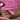 Pink Bottega Veneta Small Nappa Intrecciato Bella Tote - Designer Revival