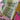 Pink Hermès Mille Et Un Lapins Silk Twilly Scarf Scarves