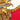 Red Hermès Les Fêtes du Roi Soleil Silk Scarf 90 Scarves