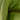 Green Bottega Veneta Nappa Intrecciato Knot Hobo - Designer Revival