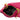 Pink Saint Laurent Quilted Lambskin Berlingo Charm Coin Pouch
