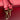 Red Prada Saffiano Lux Convertible Bowler Bag Satchel - Designer Revival