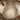 Brown Gucci GG Canvas Web Crossbody