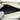 White Dior Medium Patent Microcannage Lady Dior Satchel
