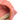 Pink Bottega Veneta Small Intrecciato Trimmed Cervo Bucket Bag - Designer Revival
