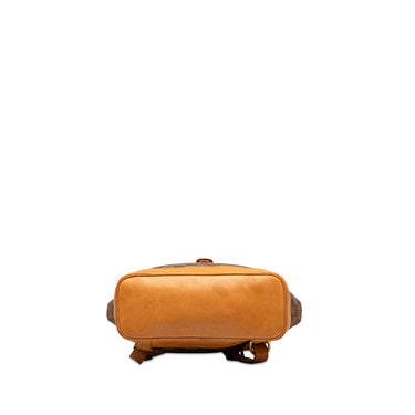Brown Louis Vuitton Damier Ebene Arlequin Soho Backpack