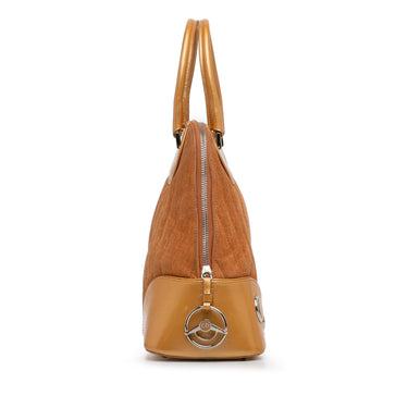 Brown Dior Montaigne Cadillac Handbag