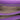 Purple Bottega Veneta Small Nappa Intrecciato Runway Shoulder Bag