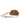 Brown Bottega Veneta Lambskin The Extra Mini Pouch Crossbody