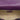 Purple Gucci Small Guccissima Emily Crossbody
