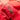Red Prada Saffiano Trimmed Tessuto Open Convertible Tote Satchel - Designer Revival