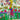 Green Hermès Fantaisies Indiennes Silk Scarf 90 Scarves