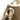 Brown Prada Canvas Canapa Logo Shoulder Bag - Designer Revival