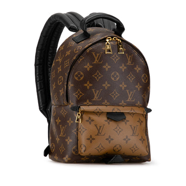 Brown Louis Vuitton Monogram Reverse Palm Springs PM Backpack - Designer Revival