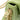 Green Chanel Quilted Lambskin Double CC Chain Around Flap Crossbody Bag - Designer Revival