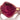 Red Dior Diorissimo Trotter Saddle Coin Pouch