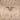 Beige Prada Nappa Gaufre Handbag - Designer Revival